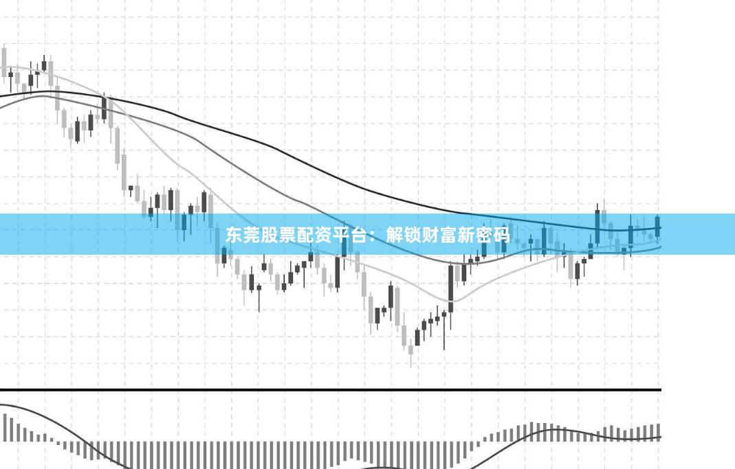 东莞股票配资平台：解锁财富新密码